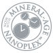 nanoplex_logo